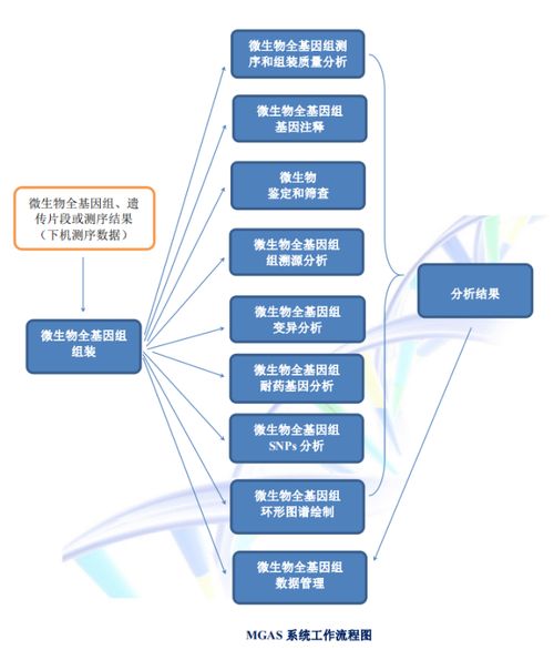 聚焦傳染病防控,碩世邀您共襄第14屆傳染病防控基礎(chǔ)研究與技術(shù)應(yīng)用學(xué)術(shù)交流會(huì)